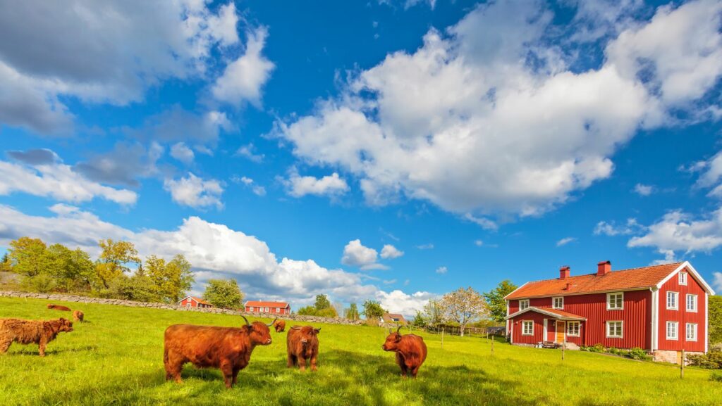 farmhouse architectural style